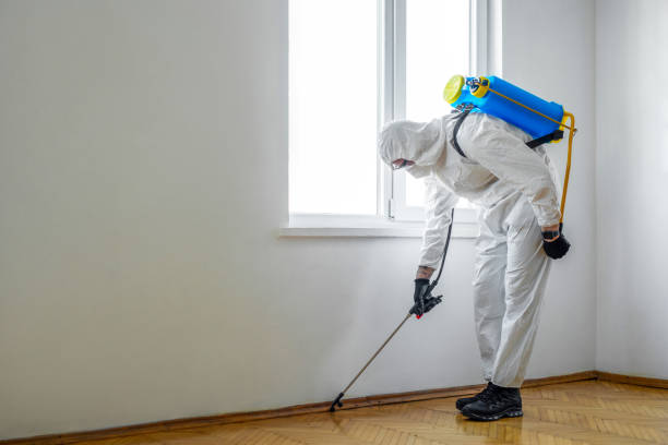 Best Pest Inspection Near Me  in Mcconnell Af, KS