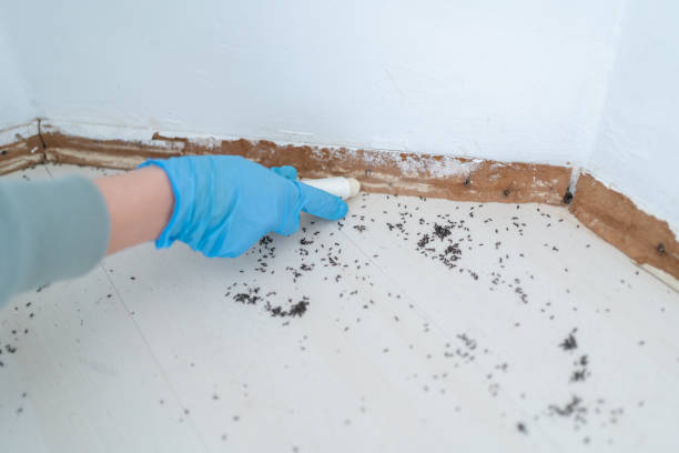 Best Cockroach Control Services  in Mcconnell Af, KS
