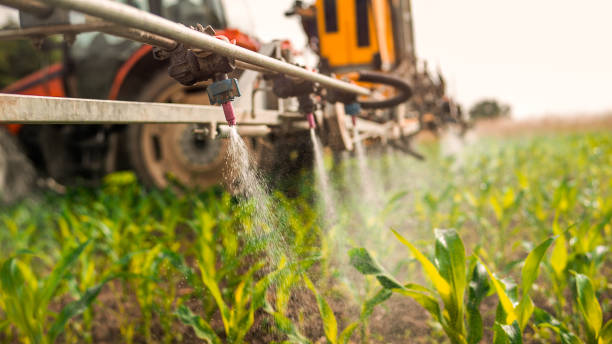 Reliable Mcconnell Af, KS Pest Control Solutions